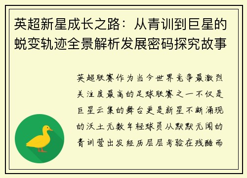 英超新星成长之路：从青训到巨星的蜕变轨迹全景解析发展密码探究故事